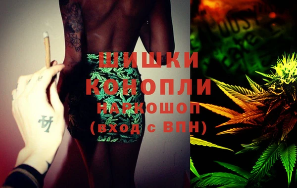 дмт Богородицк