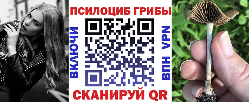 Галлюциногенные грибы Cubensis  мега как зайти  Приволжский  как найти наркотики 