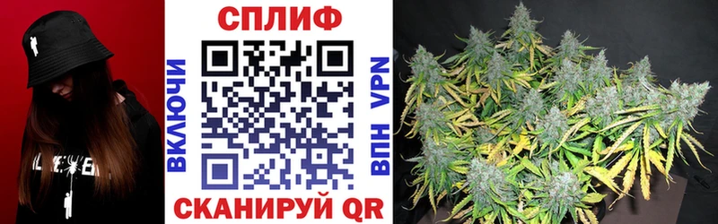 где найти   Приволжский  Шишки марихуана планчик 